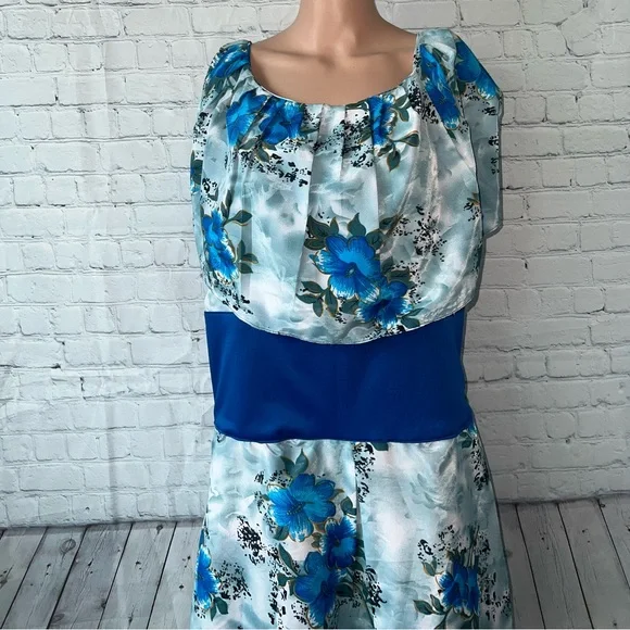 Floral Blue & Green Long Sleeveless Flower Dress size XL - Picture 2 of 15